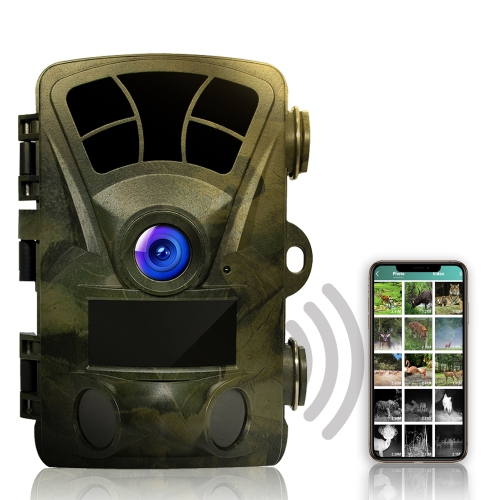 Trail Cameras Trail Cameras